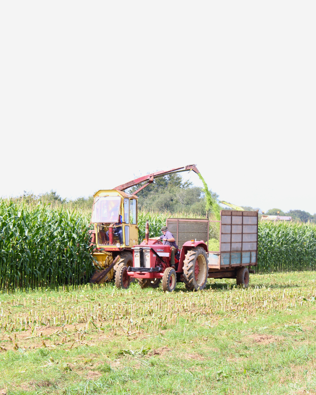 Photo Agrifête Jeunes Agriculteurs du Finistère